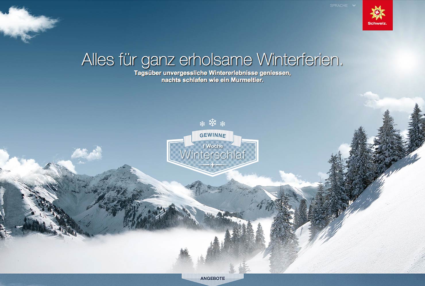 Winterschlaf Online Kampagne slide 0